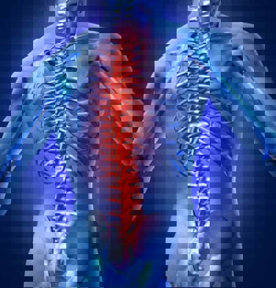 x-ray image of spine and neck