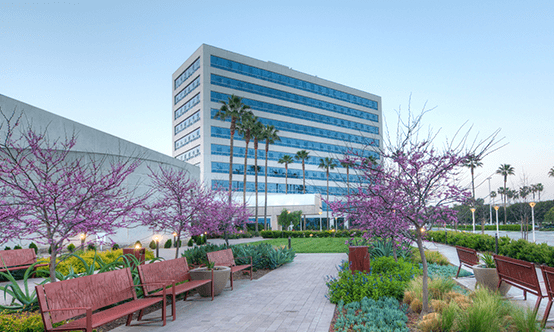 Newport Orthopedic Institute - Irvine Orthopedics Photo
